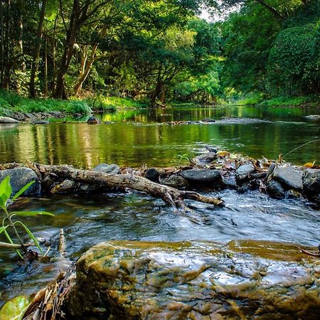 Cairns Homestead Redlynch Pet And Family Friendly Extérieur photo