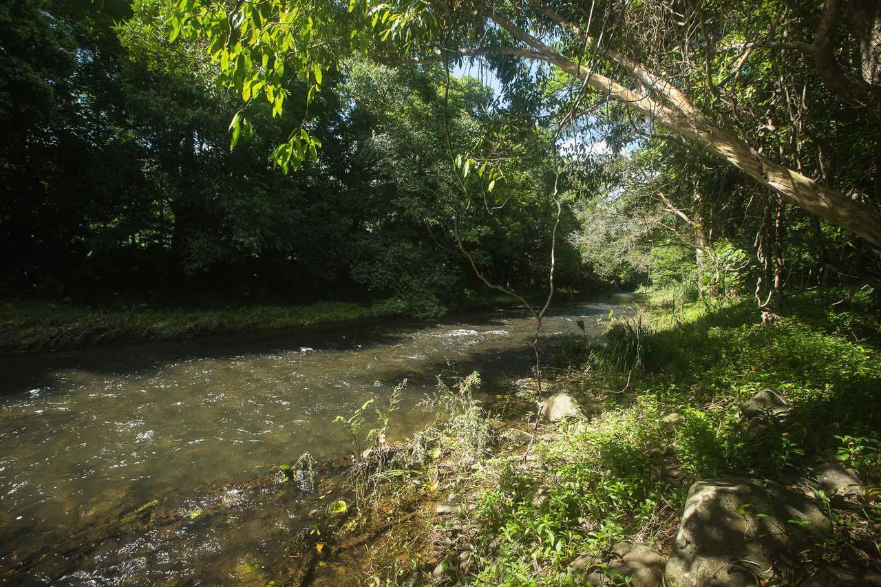 Cairns Homestead Redlynch Pet And Family Friendly Extérieur photo