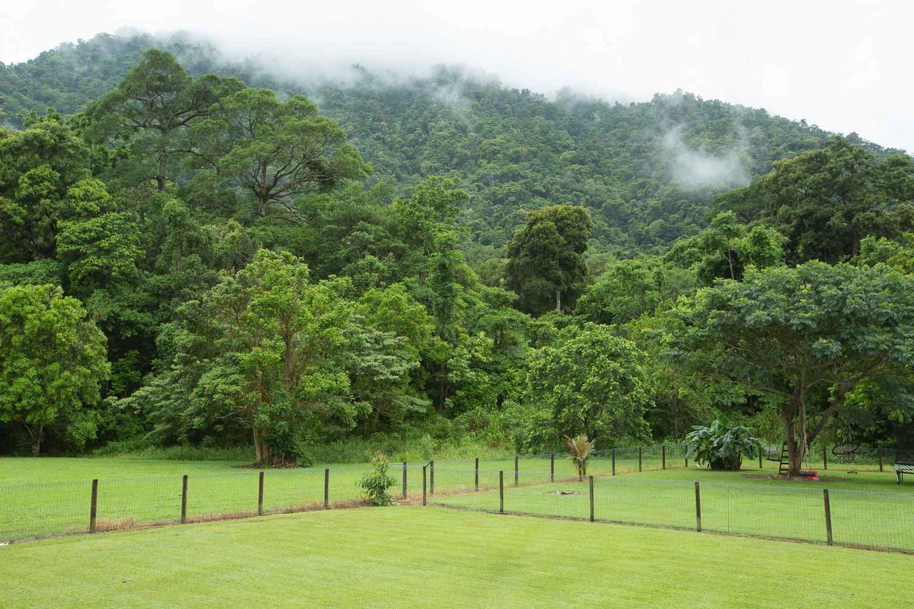 Cairns Homestead Redlynch Pet And Family Friendly Extérieur photo