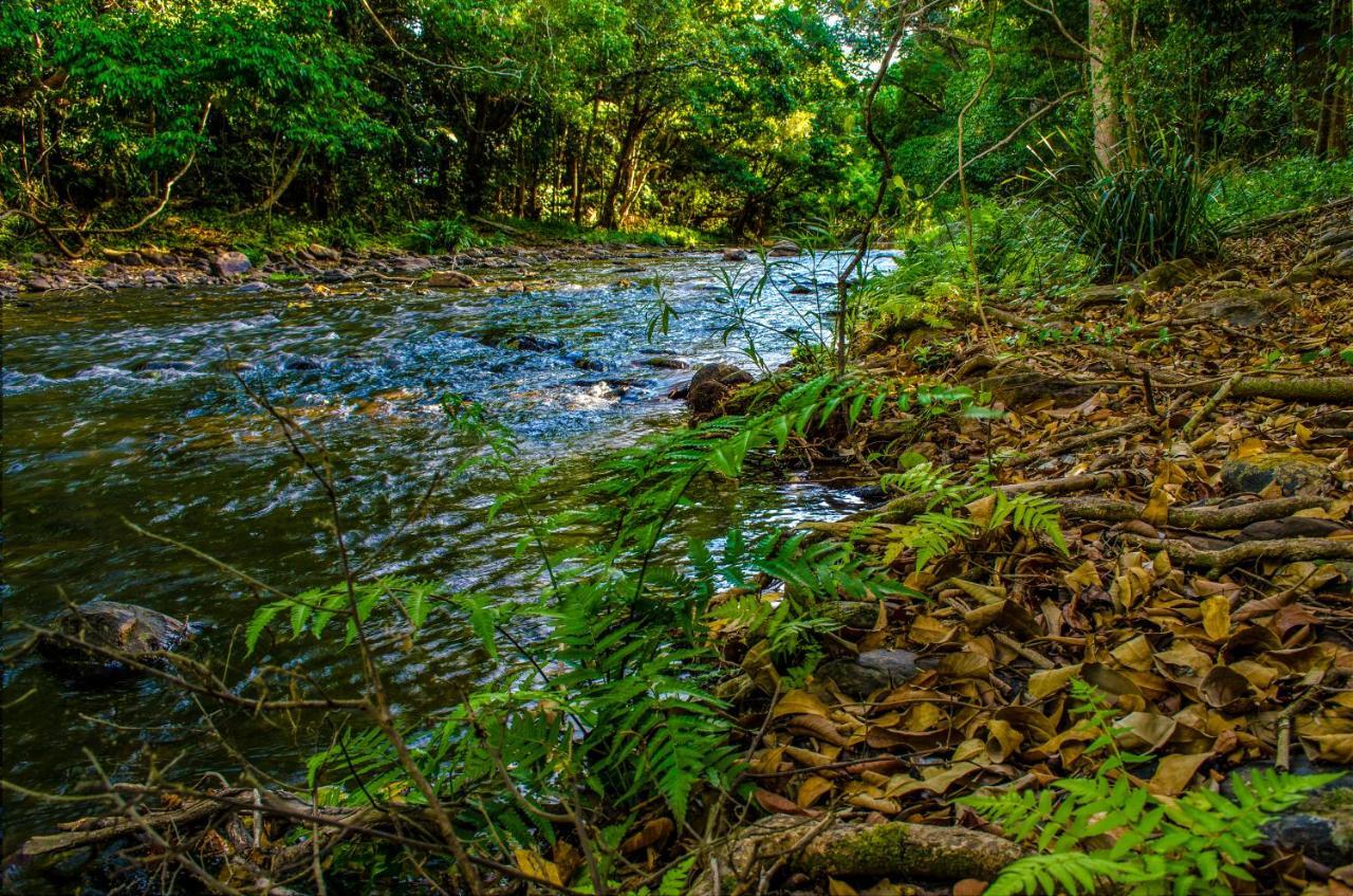 Cairns Homestead Redlynch Pet And Family Friendly Extérieur photo