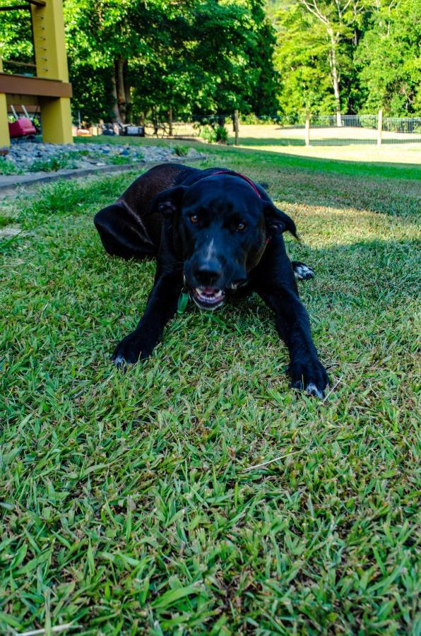 Cairns Homestead Redlynch Pet And Family Friendly Extérieur photo